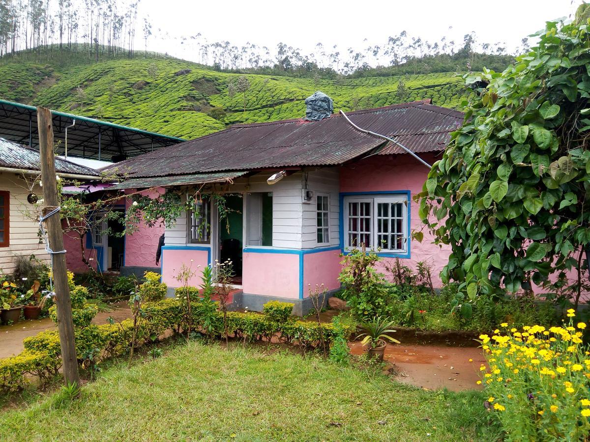 Zina Cottage Munnar Exteriér fotografie